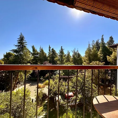 Christina Vourvourou